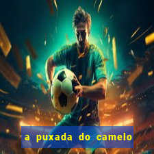 a puxada do camelo no jogo do bicho